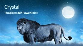  Presentation with night sky moon - Beautiful slide deck featuring lion on the savannah backdrop and a ocean colored foreground