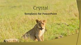  Presentation with landscapes of savanna serengeti tanzania - Presentation theme with lion-pride-scientific-name-panthera background and a yellow colored foreground