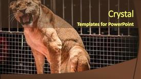  Presentation with roaring - Beautiful slide deck featuring shadow icon for game web backdrop and a soft green colored foreground