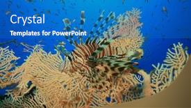  Presentation with sea coral - Colorful slide deck enhanced with lionfish-beside-giant-sea-fan backdrop and a teal colored foreground