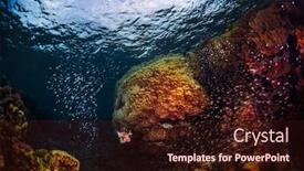  Presentation with tropical - Cool new PPT layouts with lionfish-hunts-on-the-reef backdrop and a wine colored foreground