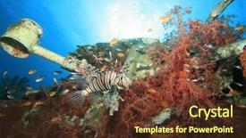  Presentation with coral - Theme having lionfish on coral-covered shipwreck background and a tawny brown colored foreground