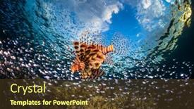  Presentation with tropical reef fish - Beautiful slides featuring lionfish-surrounded-by-the-prey backdrop and a tawny brown colored foreground