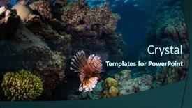  Presentation with search - PPT layouts enhanced with lionfish-swims-around-the-reef background and a navy blue colored foreground