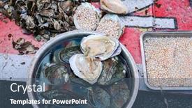  Presentation with pearl oyster - Colorful slide deck enhanced with lip-oyster-shell-with-pearl backdrop and a ocean colored foreground