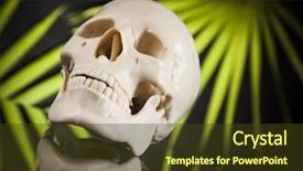  Presentation with human biology - PPT theme with lipids biology - human skull black background background and a tawny brown colored foreground