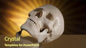  Presentation with human biology - Cool new theme with lipids biology - human skull black background backdrop and a tawny brown colored foreground