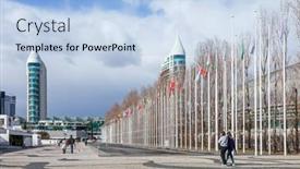  Presentation with olive grove - 