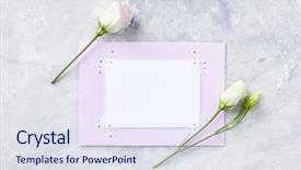  Presentation with flat - Slide set having arrangement of lisianthus flowers and paper cards on gray stone background flat lay template background and a sky blue colored foreground