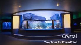  Presentation with fish aquarium - Audience pleasing PPT theme consisting of lit up fish tank backdrop and a navy blue colored foreground