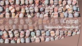  Presentation with succulents - Amazing presentation design having lithops-living-stone-cactus-succulents backdrop and a coral colored foreground