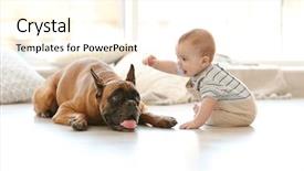  Presentation with boxer - Beautiful PPT theme featuring little baby boy with boxer backdrop and a cream colored foreground