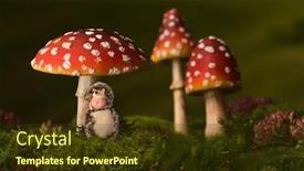  Presentation with sleeping baby - Theme featuring little baby in hedgehog costume sleeping under fly agaric toadstools background and a tawny brown colored foreground