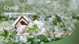  Presentation with sakura - Amazing presentation design having little birdhouse in spring backdrop and a gray colored foreground