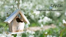  Presentation with cherry blossom - Presentation design featuring little birdhouse in spring background and a light gray colored foreground