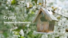  Presentation with cherry blossom - Beautiful presentation featuring little birdhouse in spring backdrop and a violet colored foreground