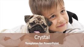  Presentation with cute christmas pug puppy dog - Audience pleasing theme consisting of little boy and the pug-dog isolated on a white background backdrop and a coral colored foreground