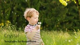  Presentation with seed - Cool new PPT theme with little-boy-blowing-dandelion-seed backdrop and a gold colored foreground