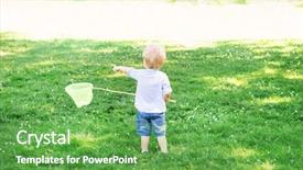  Presentation with butterflies - Beautiful slides featuring little boy catching butterflies with scoop backdrop and a shamrock green colored foreground