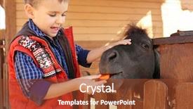  Presentation with zoo - PPT theme enhanced with little boy feeding pony background and a tawny brown colored foreground