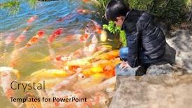  Presentation with koi fish - Cool new PPT layouts with little-boy-feeds-fancy-carps backdrop and a yellow colored foreground