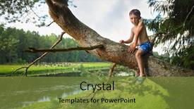  Presentation with tree river - Amazing PPT theme having little boy in shorts sits on tree branch and looks at camera near river at summer backdrop and a gold colored foreground
