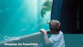  Presentation with fish aquarium - Cool new PPT layouts with little boy looking at fish tank at the aquarium backdrop and a teal colored foreground