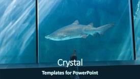  Presentation with fish aquarium - PPT layouts having little boy looking at fish tank at the aquarium background and a ocean colored foreground