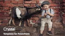  Presentation with fine art - Audience pleasing slides consisting of little boy on countryside backdrop and a tawny brown colored foreground
