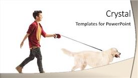  Presentation with walking - Presentation having little boy walking a dog background and a white colored foreground