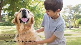  Presentation with dog park - 