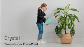  Presentation with plant - PPT theme having little-child-is-playing-businessman background and a light gray colored foreground