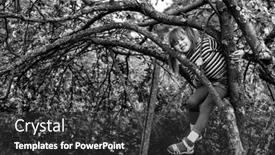  Presentation with black white tree - PPT layouts enhanced with little-cute-girl-posing-sitting background and a dark gray colored foreground