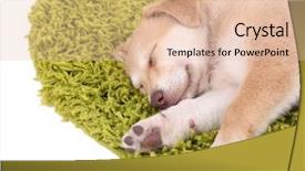  Presentation with white green - Slide set having little-cute-golden-retriever-puppy background and a lemonade colored foreground