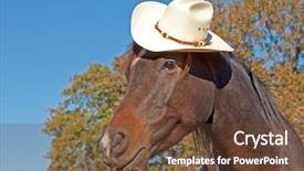  Presentation with cowboy hat - Slide deck enhanced with little dark bay arabian horse background and a tawny brown colored foreground