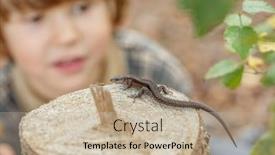  Presentation with dinosaur - Amazing PPT theme having little-dinosaur-baby-boy-plays backdrop and a mint green colored foreground