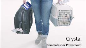  Presentation with airline - Theme with little dog in the airline background and a white colored foreground