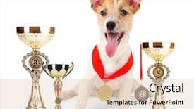  Presentation with russell - PPT theme enhanced with little dog jack russell terrier background and a lemonade colored foreground