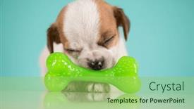  Presentation with bone - 