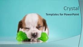  Presentation with rubber - 