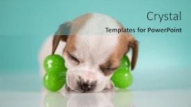  Presentation with rubber - 