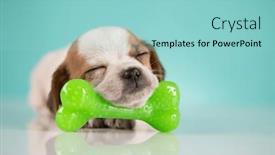  Presentation with bone - 