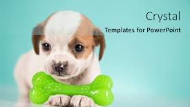  Presentation with rubber - 