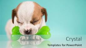  Presentation with bone - 