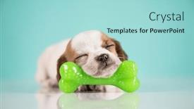  Presentation with rubber - 