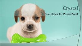  Presentation with bone - 