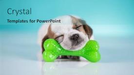  Presentation with rubber - 