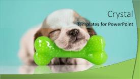  Presentation with rubber - 