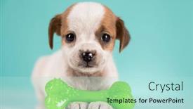  Presentation with rubber - 