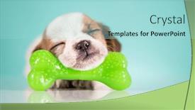  Presentation with bone - 